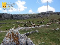 phoca_thumb_l_227lo