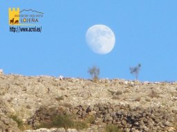 phoca_thumb_l_1196b