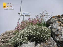 phoca_thumb_l_136b