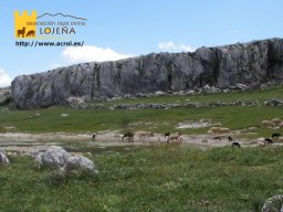 phoca_thumb_l_222b