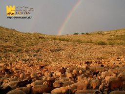 phoca_thumb_l_3745b