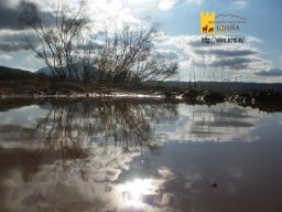phoca_thumb_l_685b