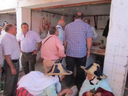 phoca_thumb_l_img_6477