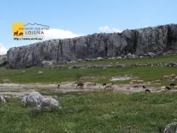 phoca_thumb_l_222postal