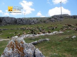 phoca_thumb_l_227postal