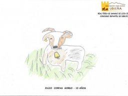 phoca_thumb_l_dibujo018_jcg