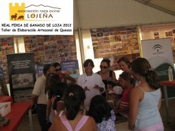 phoca_thumb_l_foto_taller_de_quesos004