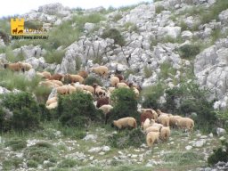 phoca_thumb_l_img_9663postal