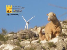 phoca_thumb_l_p1012911postal