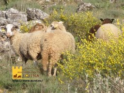 phoca_thumb_l_p1018636postal