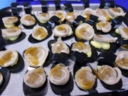 phoca_thumb_l_047