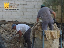 phoca_thumb_l_037b
