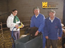 phoca_thumb_l_2932b