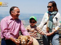 phoca_thumb_l_dsc_0078c