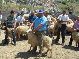 phoca_thumb_l_img_8836