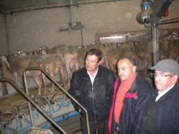 phoca_thumb_l_foto_5_francia
