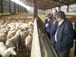 phoca_thumb_l_foto_6_francia