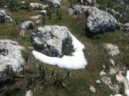 phoca_thumb_l_img_0191