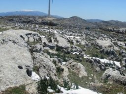 phoca_thumb_l_img_0199