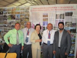 phoca_thumb_l_img_9856