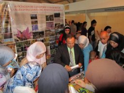 phoca_thumb_l_img_9916