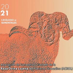 Oveja Lojena - Catalogo - Catalogo de Sementales 2021