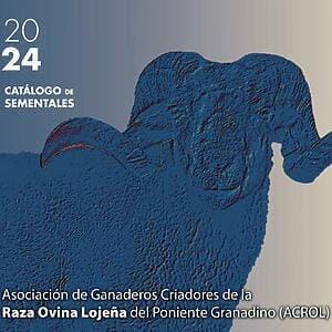 Oveja Lojena - Catalogo - Catalogo de Sementales 2024